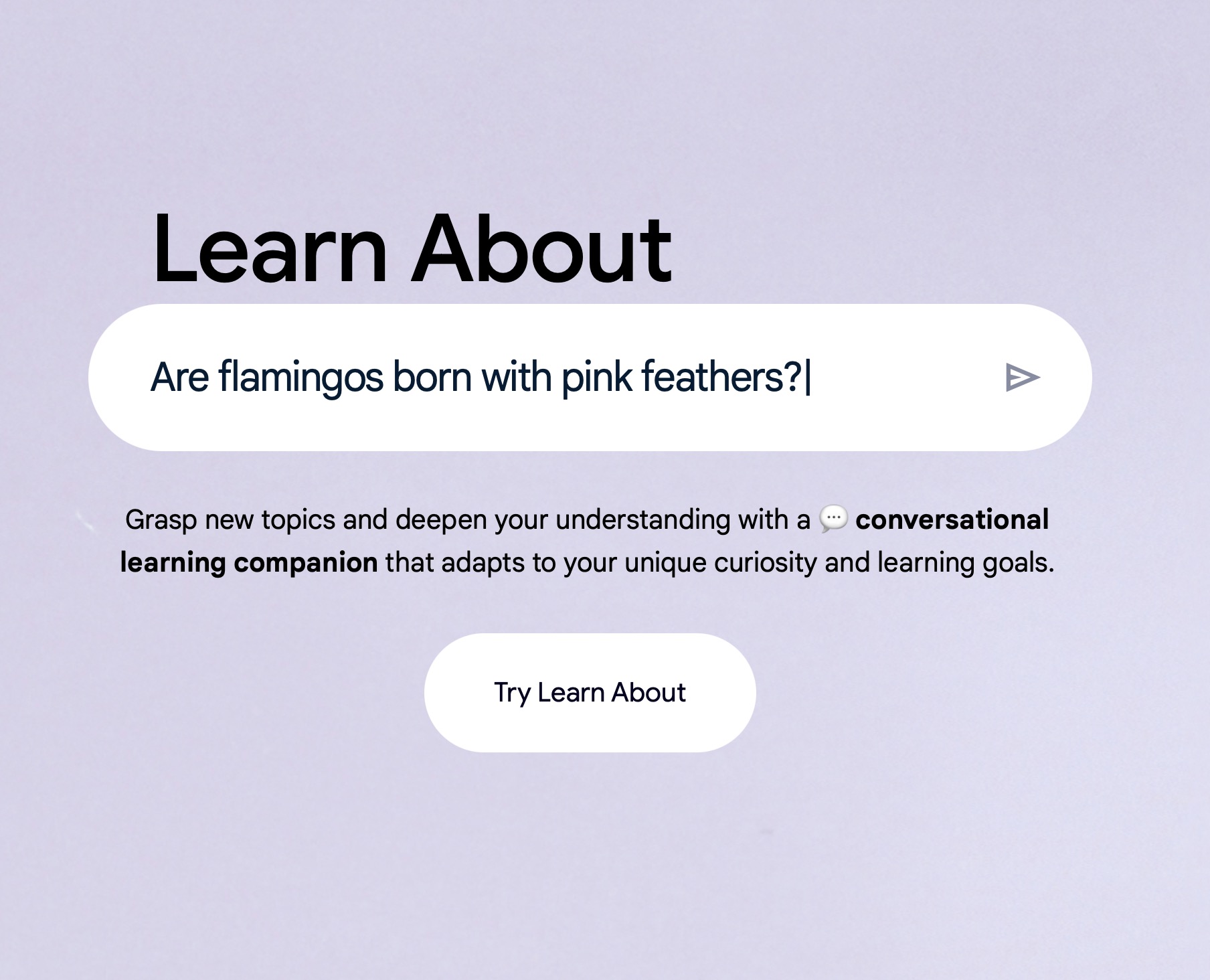Google’s Approach to Learning